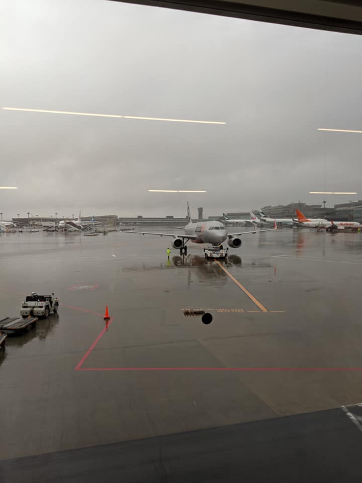 猪上君 戸馳島に戻る